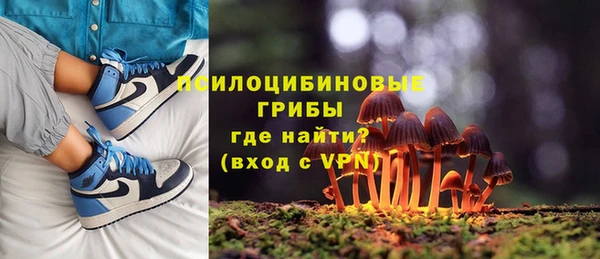 стафф Киренск