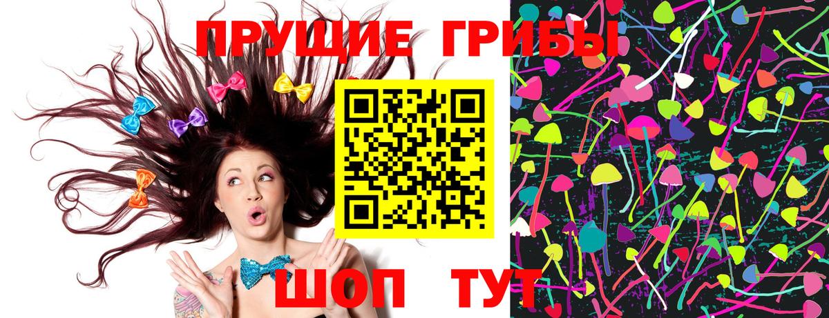 Псилоцибиновые грибы GOLDEN TEACHER Кольчугино