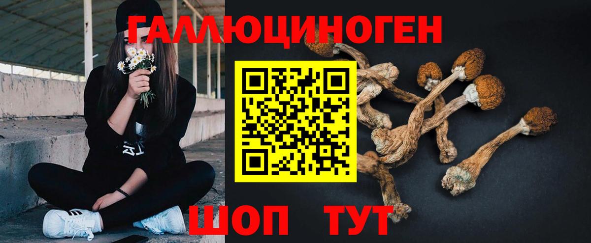 Галлюциногенные грибы Magic Shrooms  Кольчугино  Псилоцибиновые грибы прущие грибы 